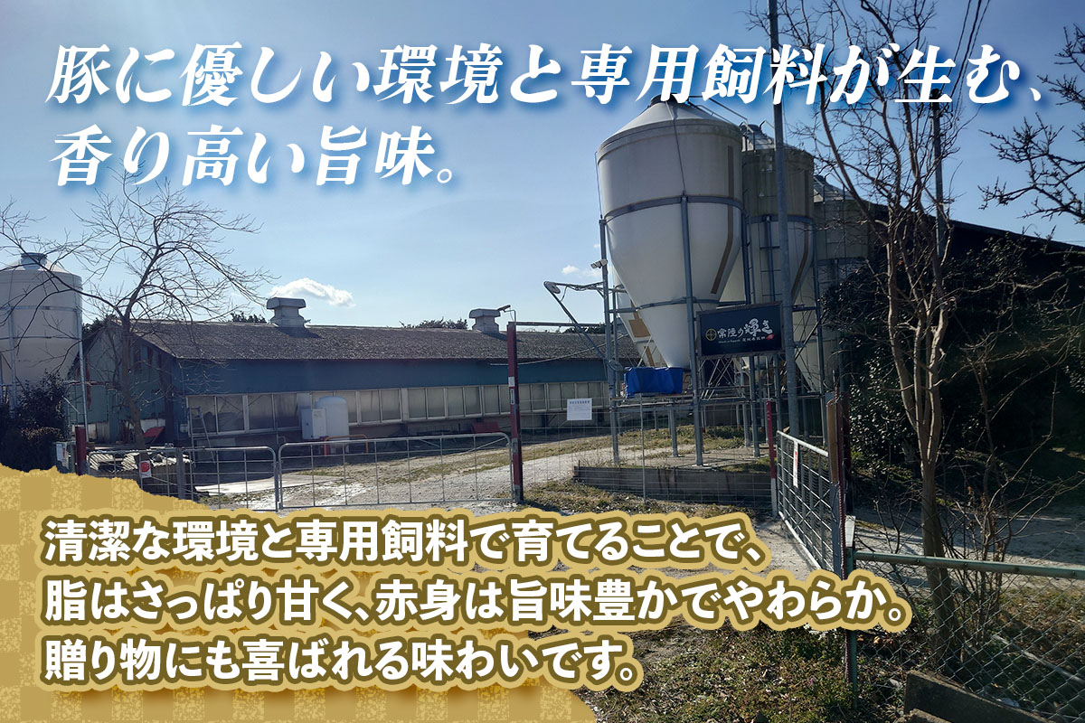 常陸の輝きロース 厚切り1kg｜豚肉 ブランド肉 茨城ブランド こだわりの肉 うまい肉 [1769]