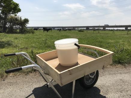 ALL JAPANナチュラルチーズコンテスト金賞受賞！チーズ工房直送 ナチュラルチーズ詰合せ3種セット｜牧場 牛乳 発酵 熟成 とける チーズ ワイン ウィスキー つまみ [0968]