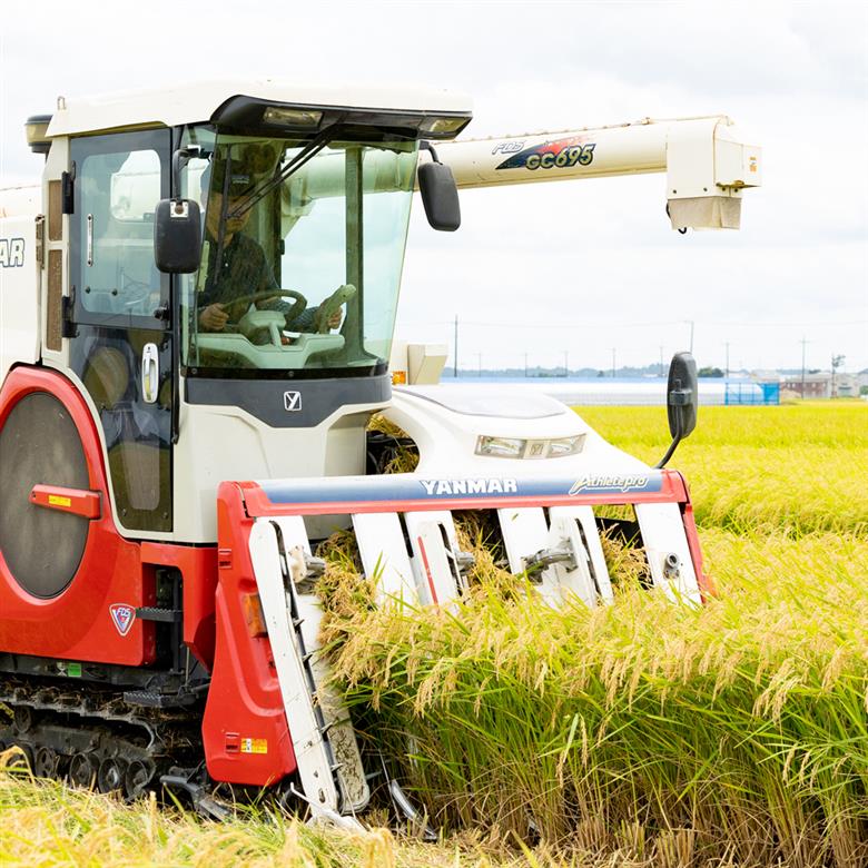 【令和7年産】 無洗米 あきたこまち 10kg (5kg×2) 稲敷市産 農家直送｜秋田小町 米 こめ コメ ごはん ご飯 [1852]