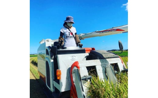 新米【令和7年産】ミルキークイーン 玄米 3kg 玄米といえば！茨城県産 ブランド米 [1667]