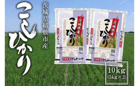 【令和7年産】稲敷市産 コシヒカリ 10kg (5kg×2袋)｜こしひかり 米 こめ コメ ごはん ご飯 [1845]