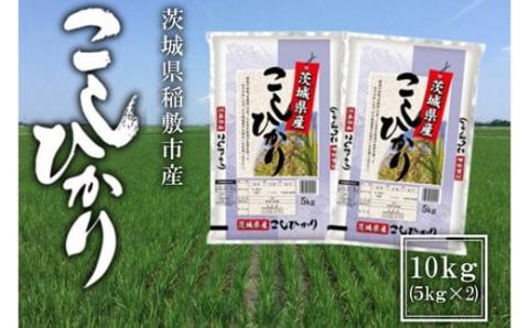 【定期便／3ヶ月 令和7年産】稲敷市産 コシヒカリ 計30kg (10kg [5kg×2袋]×3回)｜こしひかり 米 こめ コメ ごはん ご飯 [1846]