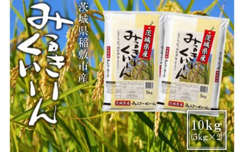 【令和7年産】稲敷市産 ミルキークイーン 10kg (5kg×2袋)｜米 こめ コメ ごはん ご飯 [1847]