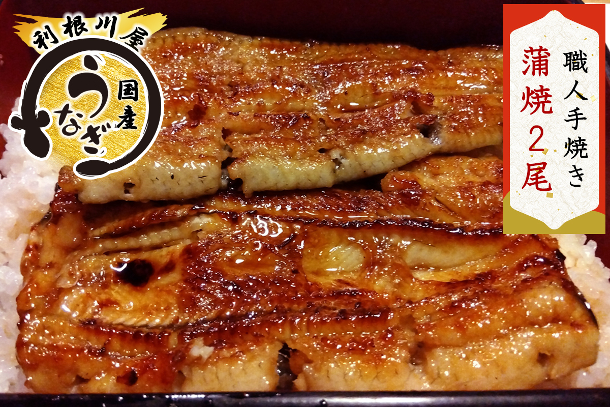 老舗利根川屋の職人手焼き 国産うなぎ 蒲焼 2尾セット [0585]