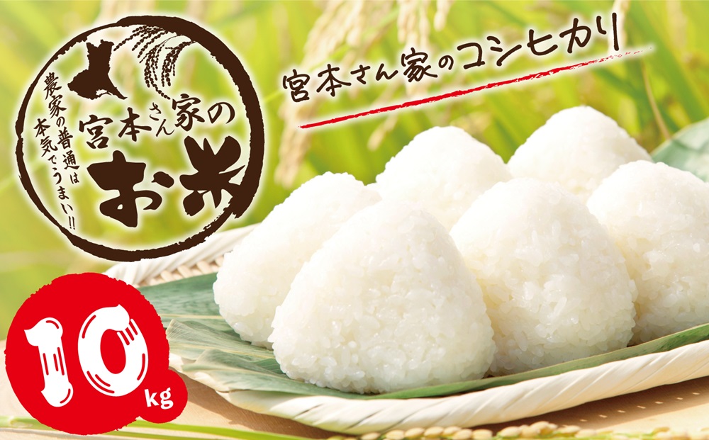 新米 【令和7年産】茨城県稲敷市産 宮本さん家のこしひかり 10kg×1袋 ｜米 おこめ コシヒカリ 精米 農家直送 直送 茨城県 [1653]