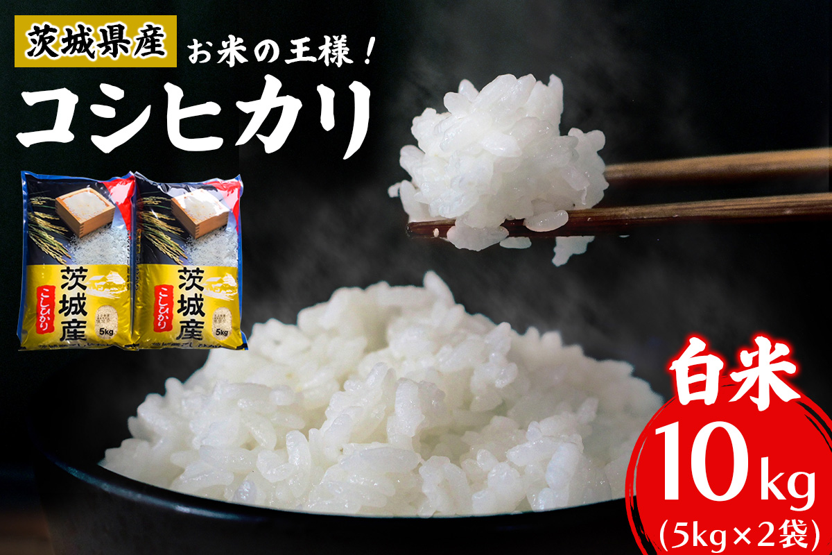 新米【定期便／3ヶ月 令和7年産】コシヒカリ 白米 計30kg (5kg×2袋×3ヶ月) 茨城県産 お米の王様！｜おこめ 精米 こしひかり 直送 稲敷 茨城 [1803]