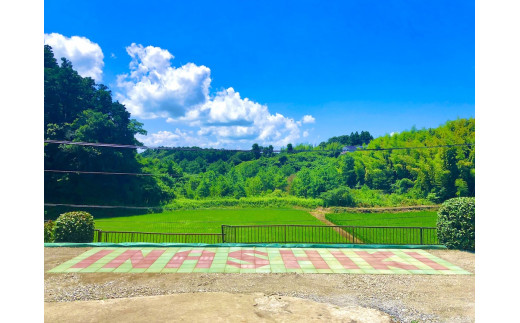 稲敷の家・稲敷キャンプ場 施設利用券 1万5千円分 [0385]