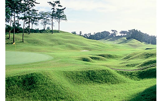 利根ゴルフ倶楽部 平日限定 1組4名様 プレー券 [0118]