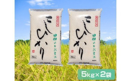 新米[令和6年産]特別栽培米 田仲のコシヒカリ 10kg (農薬・化学肥料7割減) (茨城県共通返礼品/稲敷市)|米 おこめ 精米 農家直送 直送 茨城県 [1196]