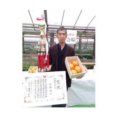 画期的な食感と甘さ柿「太秋」約3.5kg以上(10個～12個)【配送不可地域：離島】