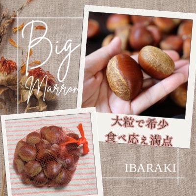 かすみがうら市産　生栗　3Lサイズ　3kg【配送不可地域：離島】