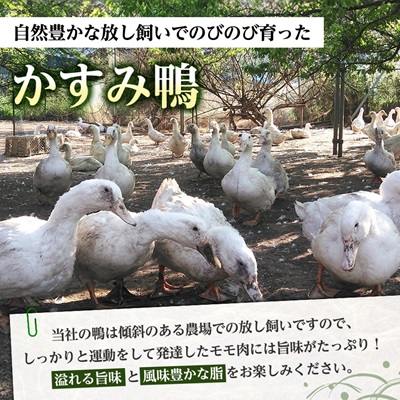 かすみ鴨モモ肉　1羽分×2パック(計2羽分)【配送不可地域：離島】