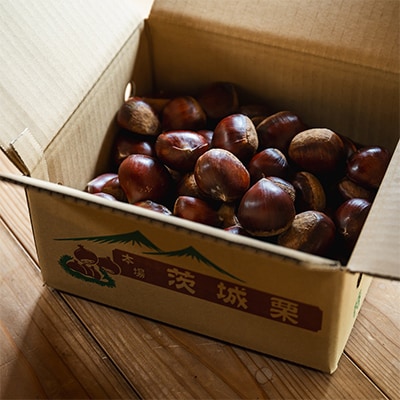 こだわりの熟成生栗約1kg　栽培期間農薬肥料不使用　【配送不可地域：離島・沖縄県】