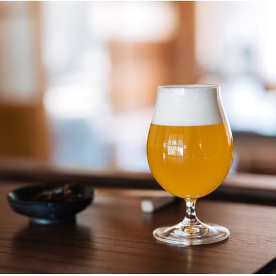 季節限定醸造　『霞ヶ浦ゆずエール』　12本セット【配送不可地域：離島】