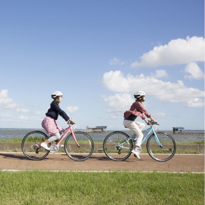 つくば霞ケ浦りんりんロードを体験!　1日レンタルサイクルペアチケット