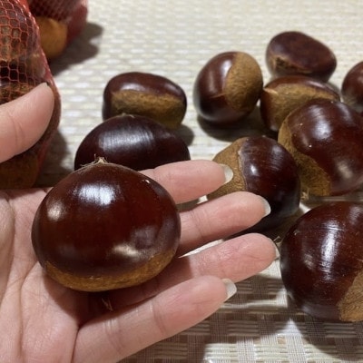 【2026年10月発送開始】産地直送!久保田果樹園の生栗3Lサイズ約3kg【配送不可地域：離島】