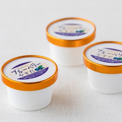 『ブルーベリーやすだ』の濃厚ブルーベリーアイス10個　＆　冷凍ブルーベリー500gのセット【配送不可地域：離島】