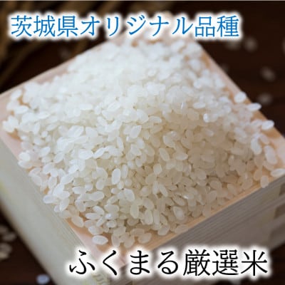 かすみがうら市産　『ふくまる厳選米』　　　　300g×5個