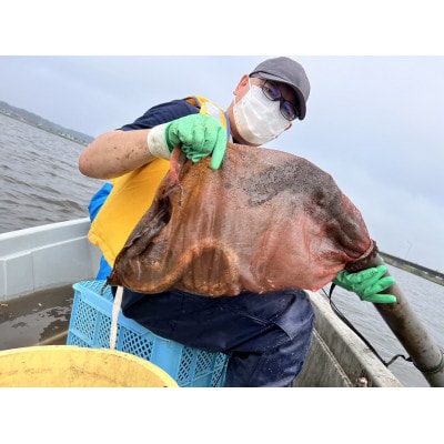 「霞ヶ浦の天然うなぎ」　霞ヶ浦で漁体験　1名様分
