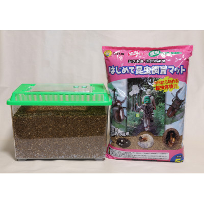 カブトムシ幼虫チャレンジ飼育セット(5匹)【オス3匹/メス2匹】