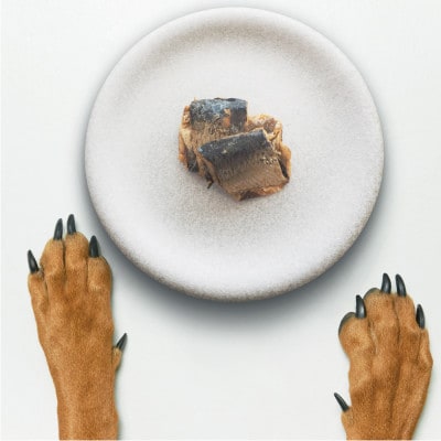 【犬猫用】Fresh fish 037 減塩レトルト 鯡(にしん) 4個セット