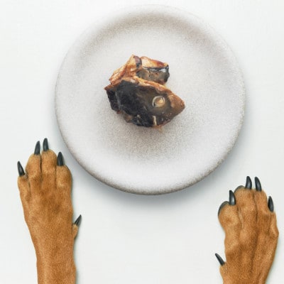 【犬猫用】Fresh fish 037 減塩レトルト 鰤(ぶり) 4個セット