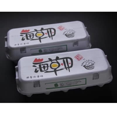 ナカジマ農場のこだわりたまご「海藻卵」30個(25個+割れ保障5個)【配送不可地域：離島】