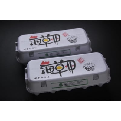 ナカジマ農場のこだわりたまご「海藻卵」50個(40個+割れ保障10個)【配送不可地域：離島】