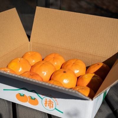 かすみがうら市産 完全甘柿「陽豊」と「富有」セット 3.5kg以上(10～14個)