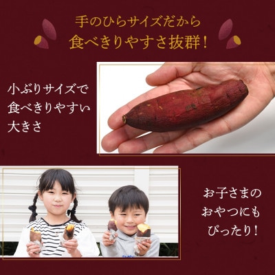 冷凍焼き芋 1kg(500g×2袋)【配送不可地域：離島】