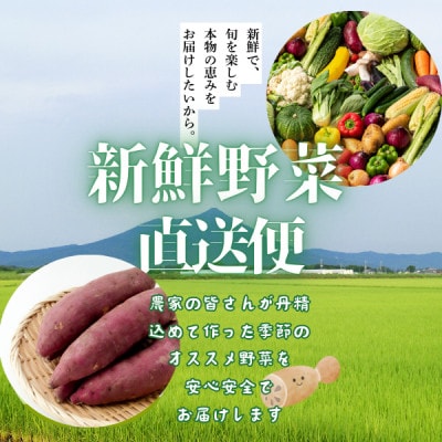 かすみがうら市産 旬の野菜おまかせセット 7～9種(2～3名様分)【配送不可地域：離島】