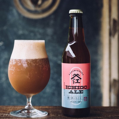 霞ヶ浦いちごエール 茨城県産 330ml×3本セット【配送不可地域：離島】