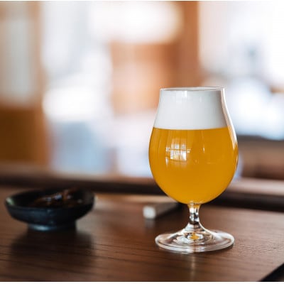 クラフトビール ヘイジーIPA 計990ml 3本セット【配送不可地域：離島】