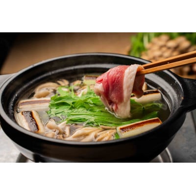 鴨鍋の素4人前(鴨スープとムネ肉1羽分(2枚)のセット)【配送不可地域：離島】