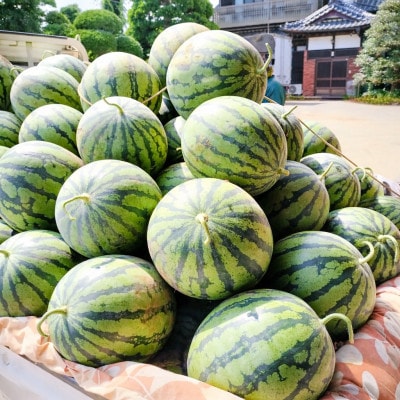 【阿見町共通返礼品】茨城県阿見町産大玉すいか(羅王ザ・スイート)4L(1玉)1箱9～10kg
