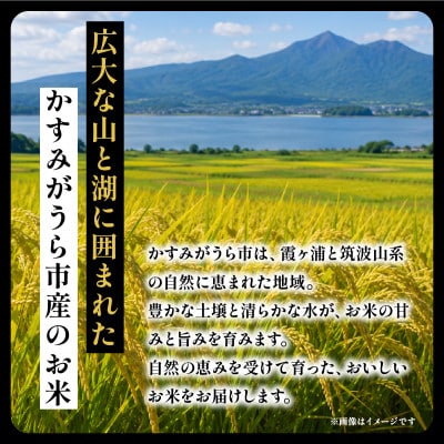 【毎月定期便】こだわりのコシヒカリ 玄米 5kg | 茨城県全6回