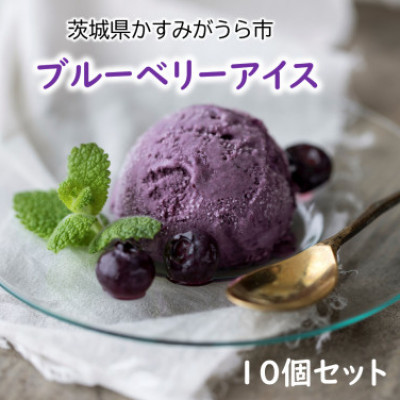 『ブルーベリーやすだ』の濃厚ブルーベリーアイス　10個セット【配送不可地域：離島】