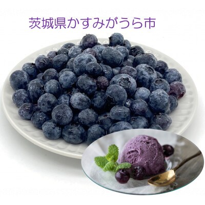 『ブルーベリーやすだ』の濃厚ブルーベリーアイス10個　＆　冷凍ブルーベリー500gのセット【配送不可地域：離島】