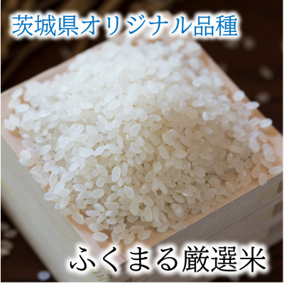 茨城県産『常陸乃梅』　大粒Aランク梅干し　無添加　1Kg　＆　ふくまる厳選米　2Kg