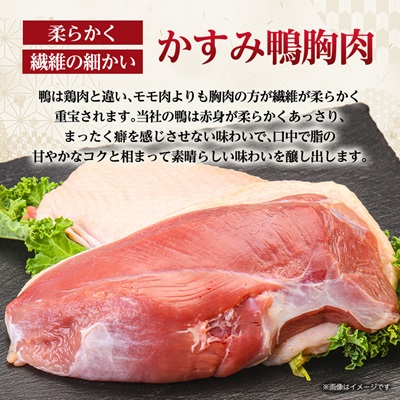 かすみ鴨むね肉　1羽分(800g～900g程度)【配送不可地域：離島】
