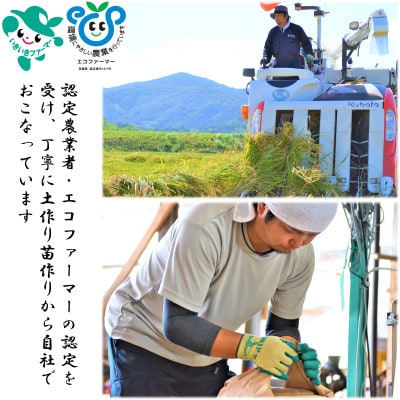 もっちり甘い! 　茨城県ミルキークイーン　しづくのしずく　5kg