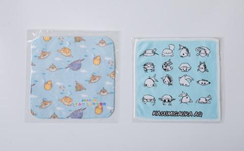 かすみがうら市水族館優待券とオリジナルハンカチ＆クリアファイル