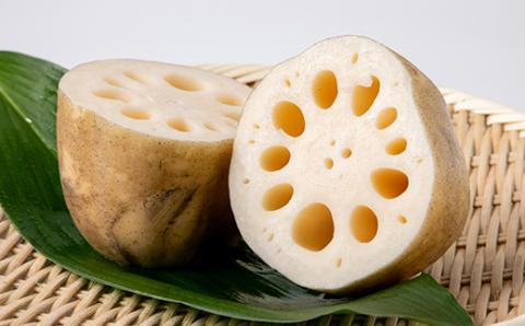 かすみがうら市産　れんこん　4kg【配送不可地域：離島】