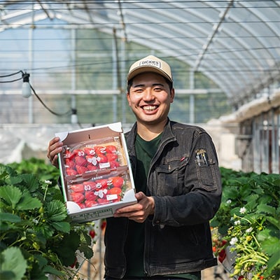 やよいひめ　朝摘み・当日発送　250g×4パック【配送不可地域：離島・沖縄県】