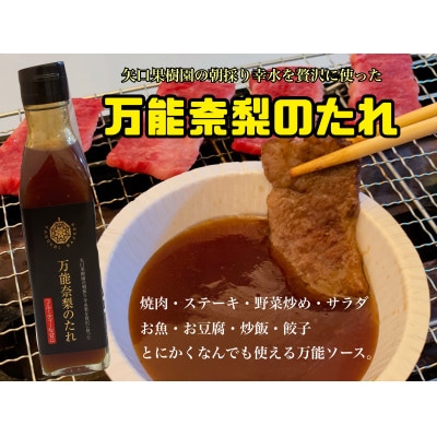 高級焼き肉のたれ　万能奈梨のタレ　200m×3本