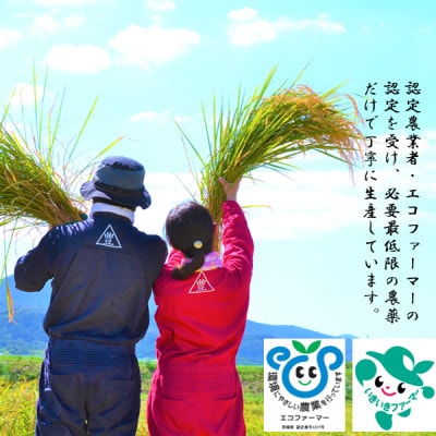 茨城県産ミルキークイーンしづくのしずく30kg(玄米)