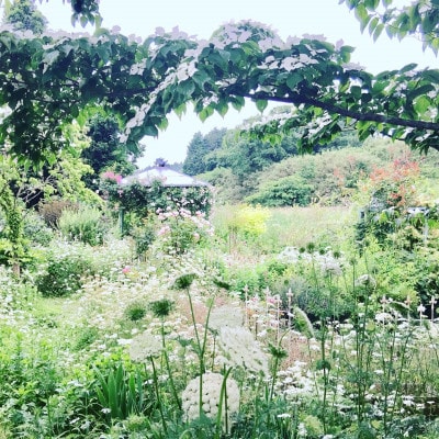 シークレットガーデンで楽しむミニブーケ作りとアフタヌーンティー2名様