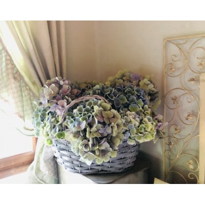 シークレットガーデン貸し切り20名様まで