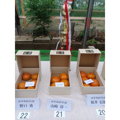 柿の中の柿、最も古くから愛されている美味しい富有柿　約3.5kg(10～14個)