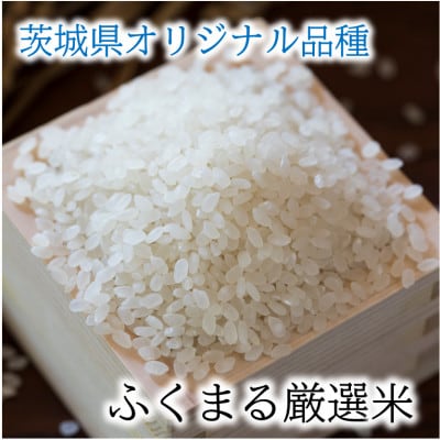 茨城県産『常陸乃梅』大粒Aランク梅干し　無添加　1Kg ＆ ふくまる厳選米　2Kg×2袋